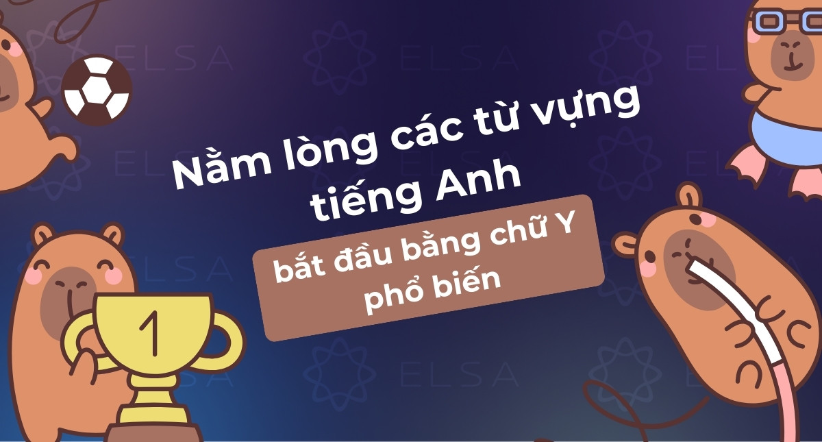 Nằm lòng 150+ từ tiếng Anh bắt đầu bằng chữ Y phổ biến