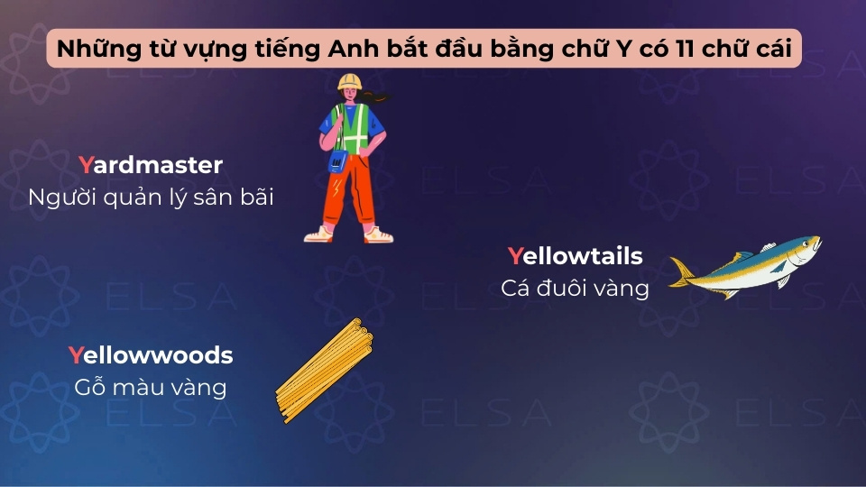 Các từ vựng tiếng Anh bắt đầu bằng chữ Y có 11 chữ cái Các từ vựng tiếng Anh bắt đầu bằng chữ Y có 11 chữ cái