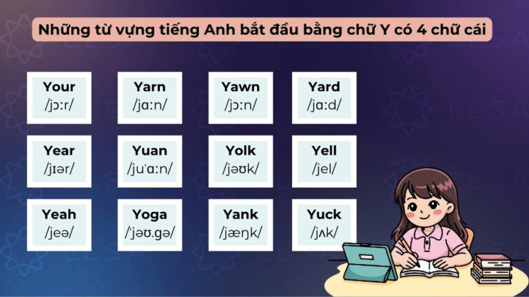 Nằm lòng 150+ từ tiếng Anh bắt đầu bằng chữ Y phổ biến