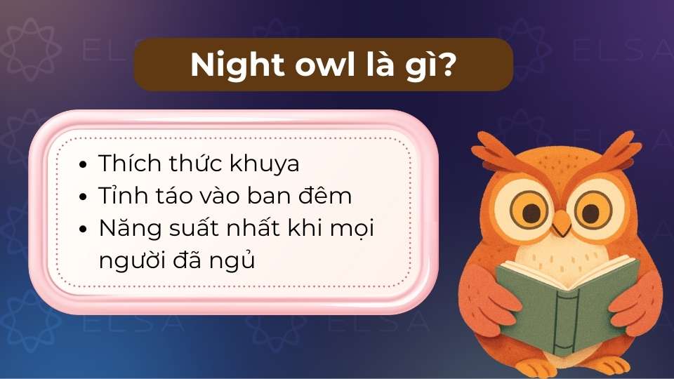 Night owl là cụm từ chỉ những người thường xuyên thức khuya và hoạt động tốt về ban đêm Night owl là cụm từ chỉ những người thường xuyên thức khuya và hoạt động tốt về ban đêm