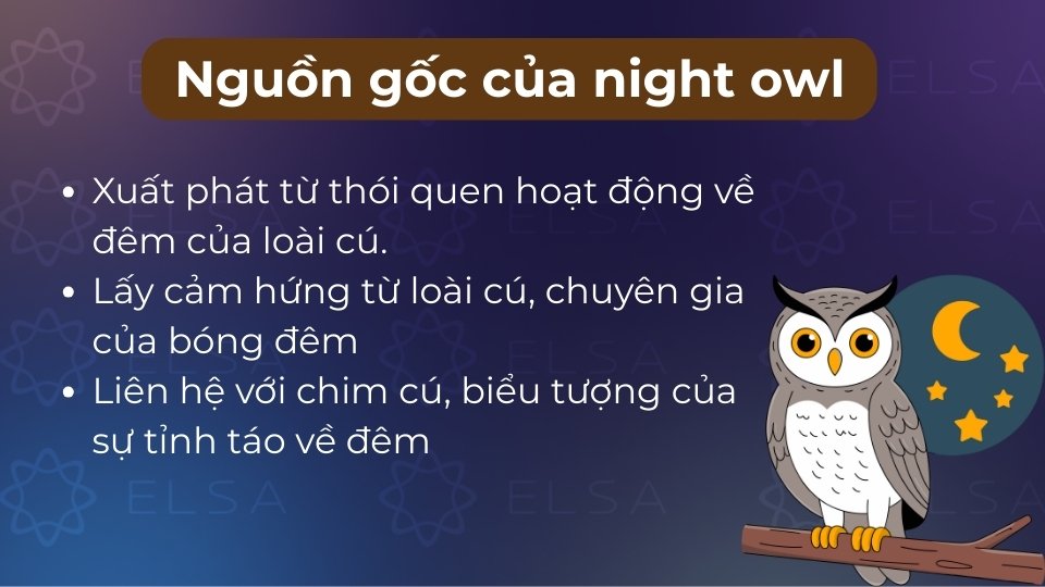Nguồn gốc night owl bắt nguồn từ thói quen săn mồi và hoạt động về đêm của loài chim cú Nguồn gốc night owl bắt nguồn từ thói quen săn mồi và hoạt động về đêm của loài chim cú