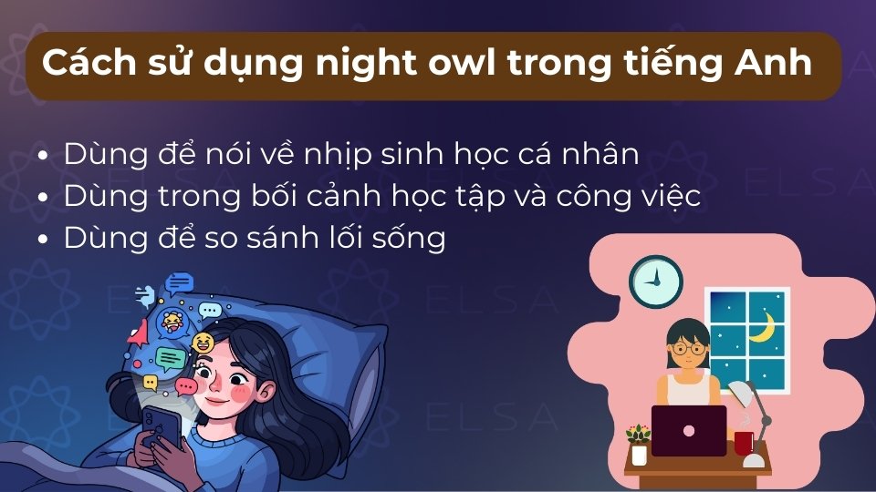 Night owl là danh từ dùng sau to be để chỉ người có thói quen hoạt động mạnh về đêm Night owl là danh từ dùng sau to be để chỉ người có thói quen hoạt động mạnh về đêm