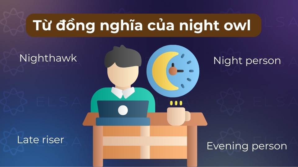 Từ đồng nghĩa phổ biến của night owl là night person, nighthawk hoặc late sleeper Từ đồng nghĩa phổ biến của night owl là night person, nighthawk hoặc late sleeper