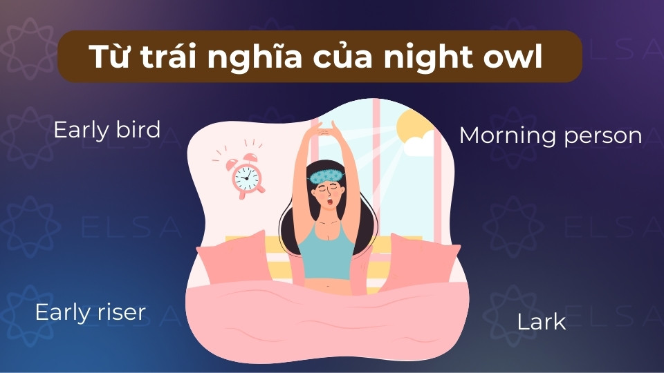 Từ trái nghĩa của night owl là early bird, morning person hoặc early riser Từ trái nghĩa của night owl là early bird, morning person hoặc early riser
