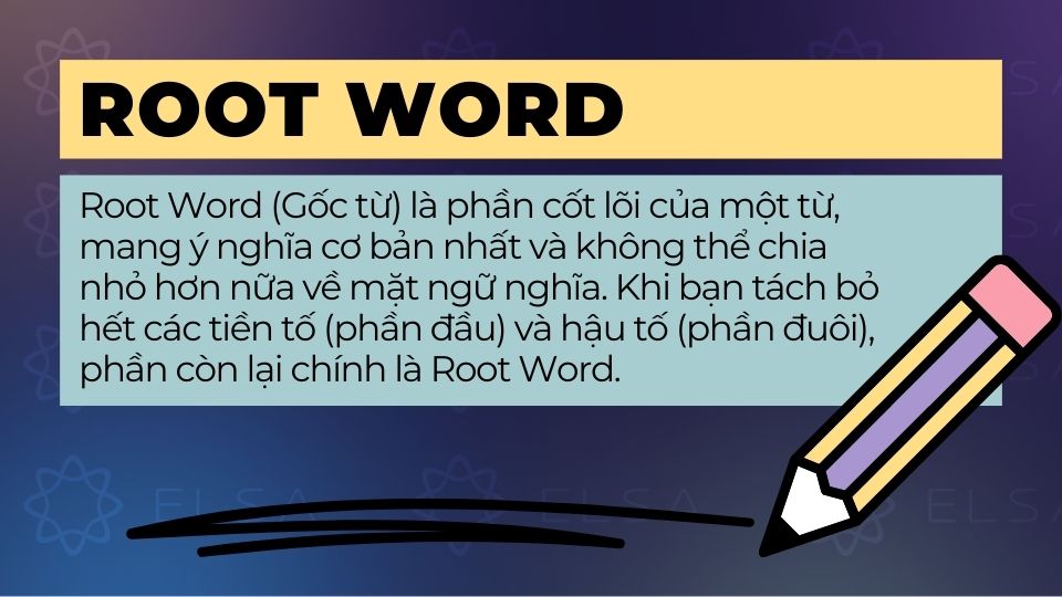 Định nghĩa Root Word (Gốc từ) là gì trong tiếng Anh