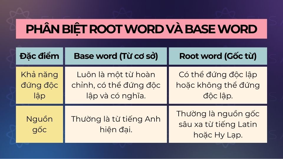 Phân biệt Root Word và Base Word