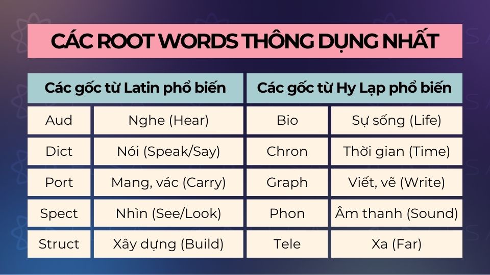 Tổng hợp các Root Words thông dụng nhất (Latin & Greek)