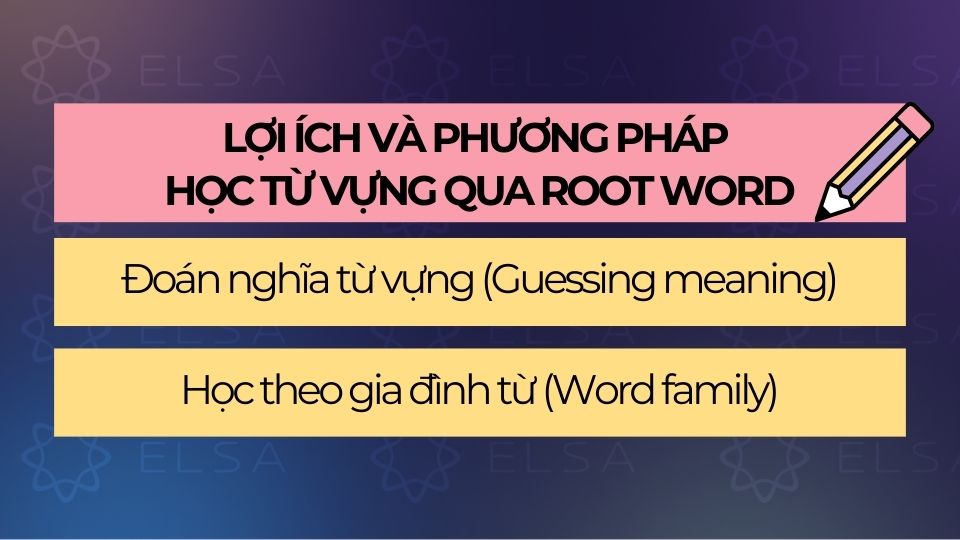 Lợi ích và Phương pháp học từ vựng qua Root Word