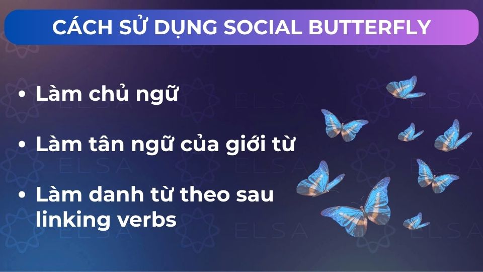 Những cách sử dụng của thành ngữ social butterfly