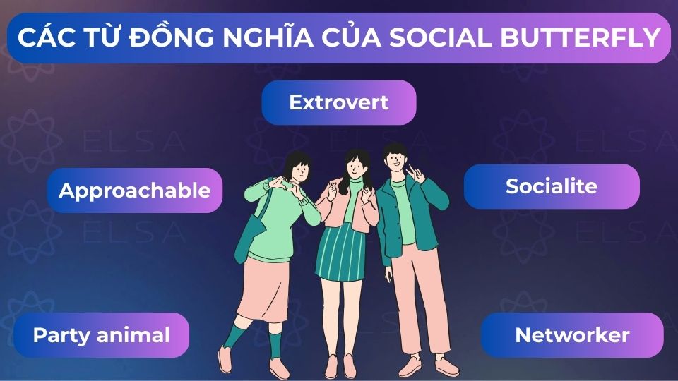 Những từ đồng nghĩa của social butterfly