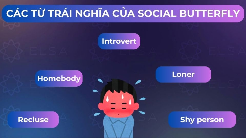 Một số từ trái nghĩa của social butterfly