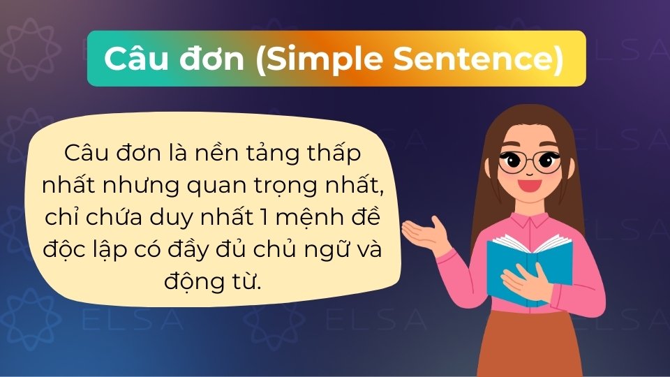 Câu đơn là câu chỉ gồm một mệnh đề độc lập duy nhất, diễn đạt một ý tưởng trọn vẹn