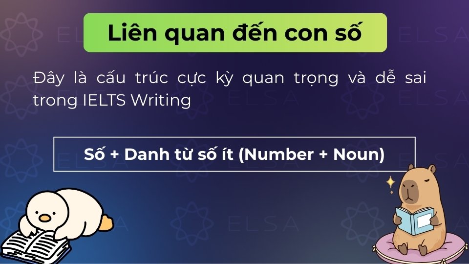 Gồm số đếm và danh từ số ít, ngăn cách bằng dấu gạch ngang để bổ nghĩa danh từ Gồm số đếm và danh từ số ít, ngăn cách bằng dấu gạch ngang để bổ nghĩa danh từ