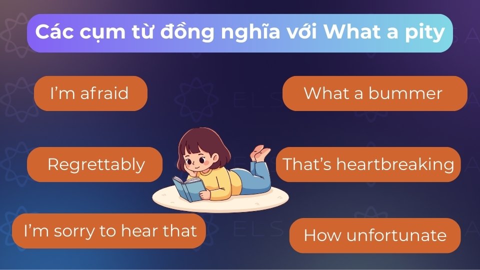 Các cụm từ đồng nghĩa với What a pity là How unfortunate, Regrettably, I’m afraid