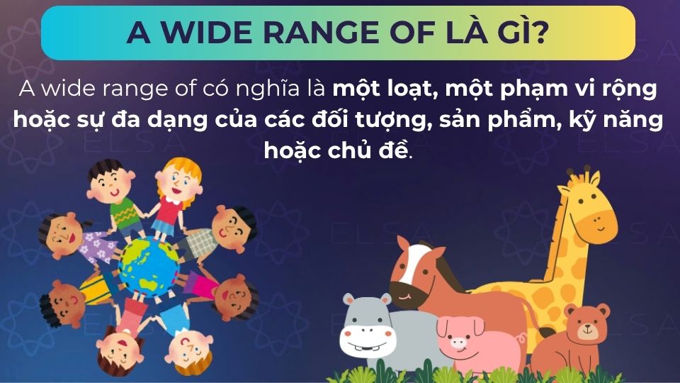 A wide range of nghĩa là sự đa dạng