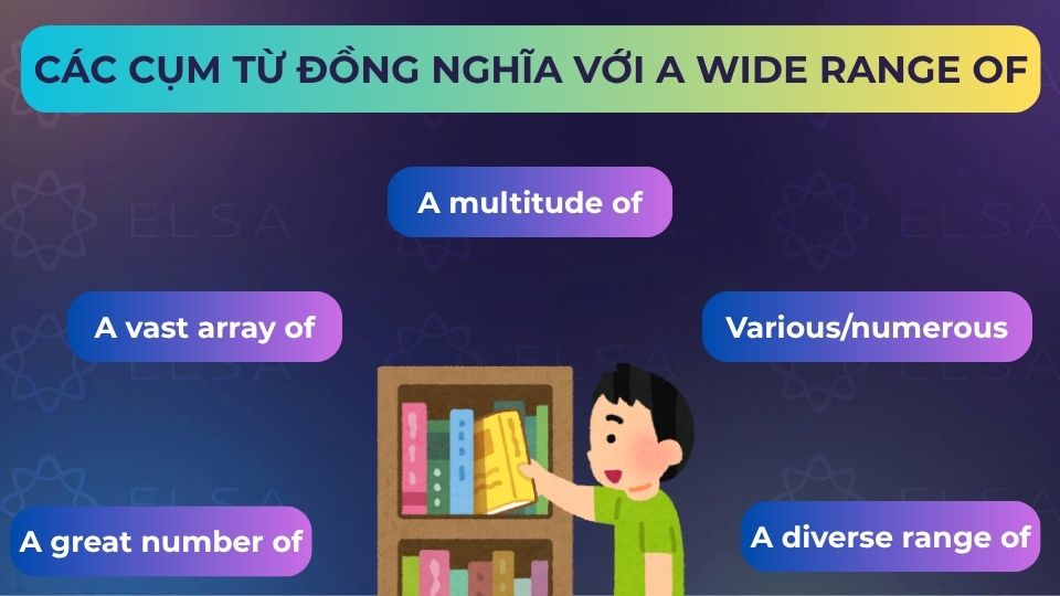Một số cụm từ đồng nghĩa với a wide range of