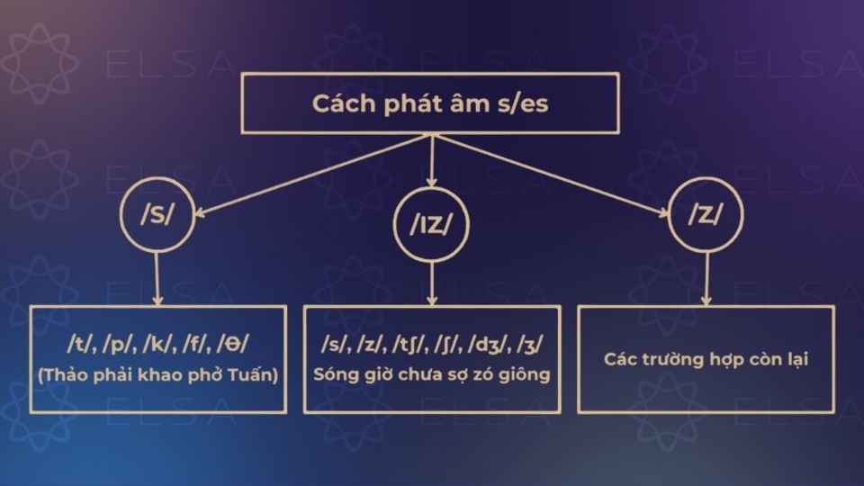 Cách phát âm s es chuẩn trong tiếng Anh