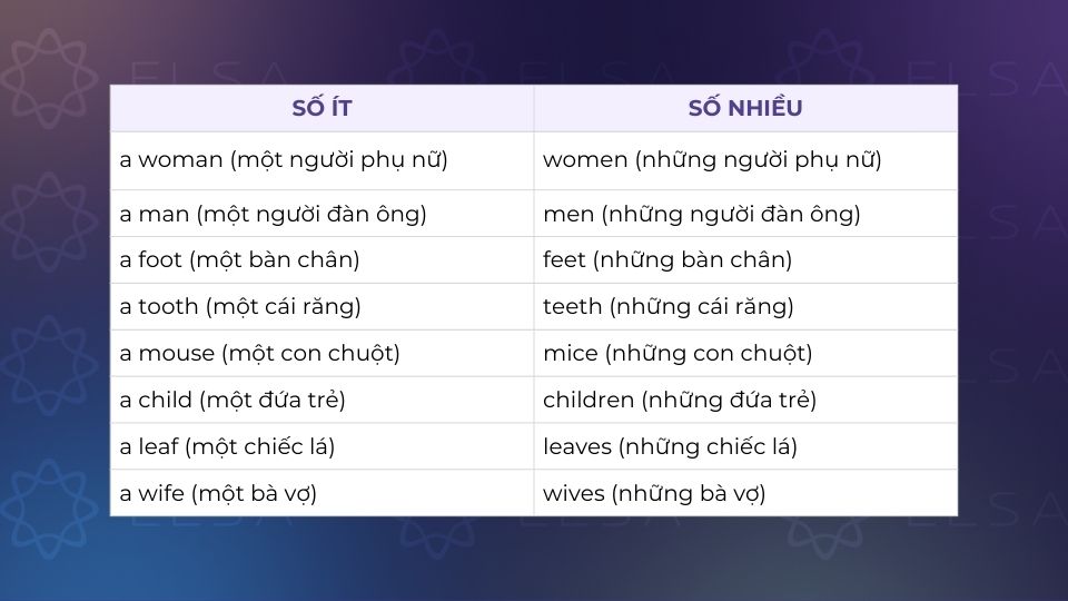 Các trường hợp đặc biệt khi chuyển sang danh từ số nhiều