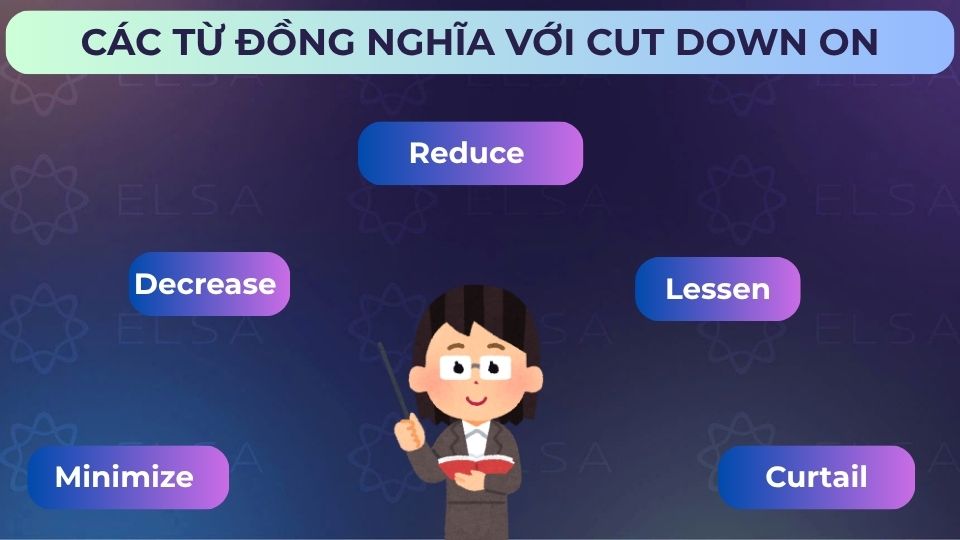 Một số các từ, cụm từ đồng nghĩa với cut down on
