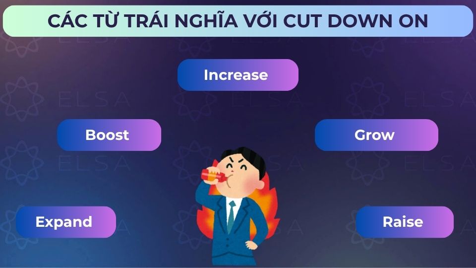 Một số các từ, cụm từ trái nghĩa với cut down on