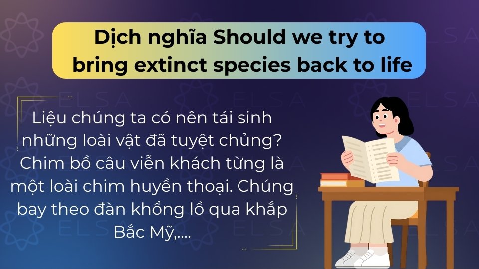 Dịch nghĩa bài đọc giúp nắm nội dung cốt lõi, học từ vựng ngữ cảnh và hiểu sâu các bẫy logic trong đề