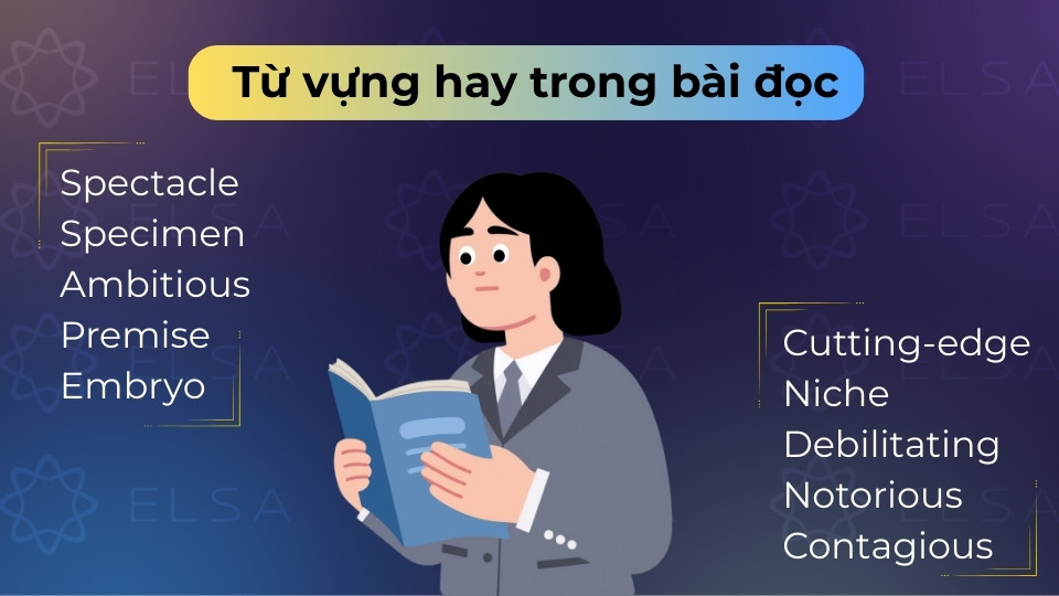 Bảng từ vựng cung cấp các thuật ngữ học thuật giúp nâng band điểm Reading và Writing