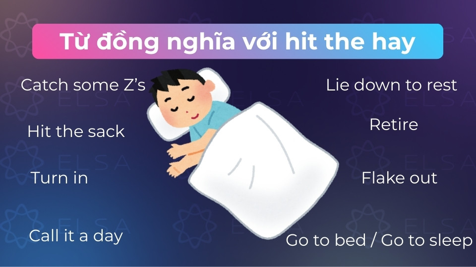 Các từ đồng nghĩa với hit the hay