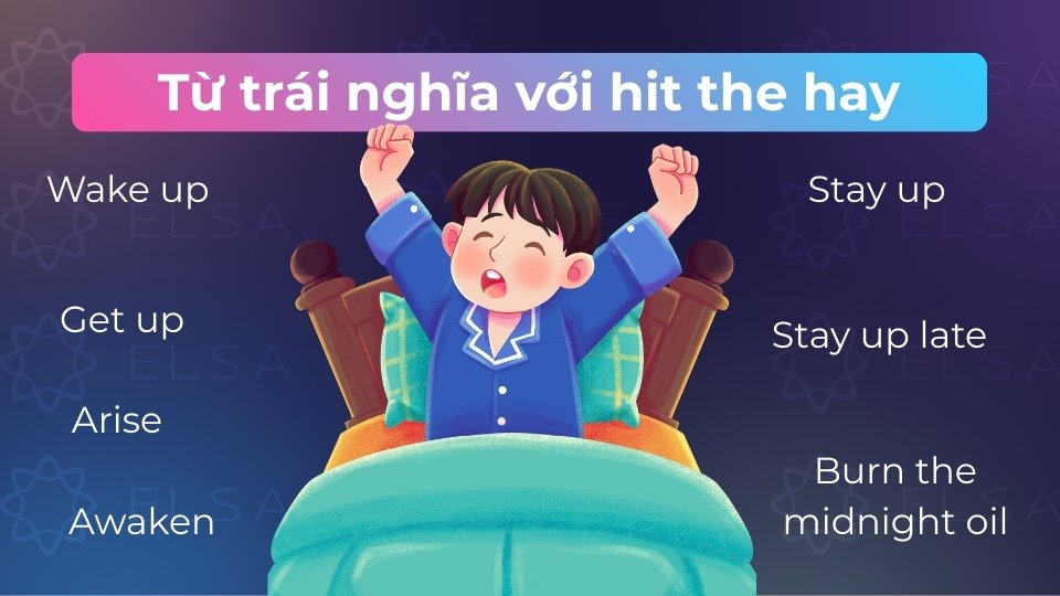 Các từ trái nghĩa với hit the hay