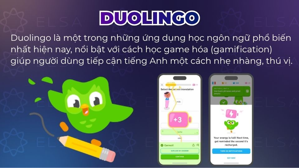 Duolingo là một trong những ứng dụng học ngôn ngữ phổ biến Duolingo là một trong những ứng dụng học ngôn ngữ phổ biến