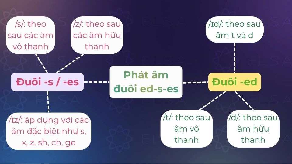 Sơ đồ tư duy cách học phát âm s,es và ed