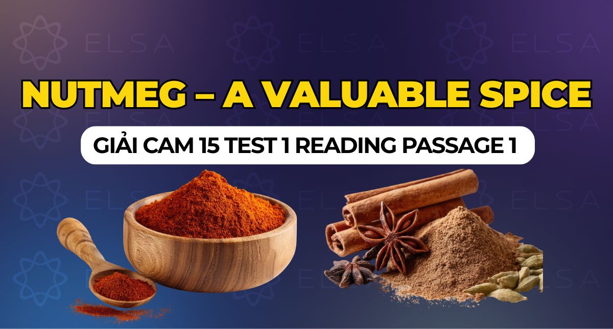 Nutmeg – A Valuable Spice: Giải Cam 15 Test 1 Reading Passage 1