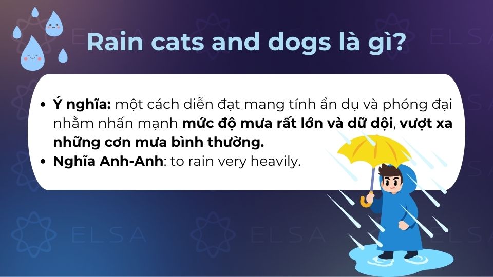 Rain cats and dogs là một idioms trong tiếng Anh dùng khi trời mưa nặng hạt Rain cats and dogs nghĩa là mưa rất to, mưa như trút nước