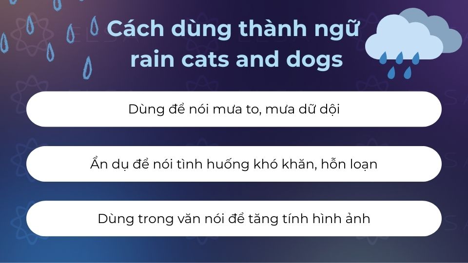 3 cách dùng thành ngữ rain cats and dogs phổ biến 3 cách dùng thành ngữ rain cats and dogs phổ biến