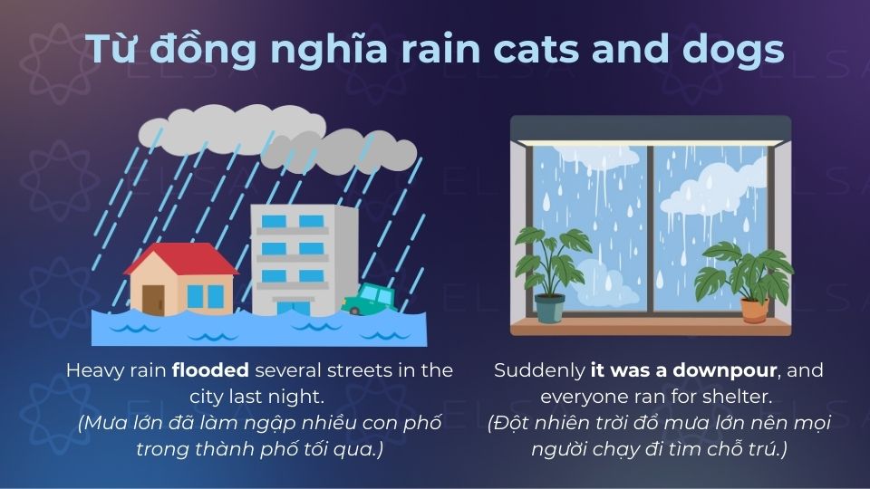 Từ đồng nghĩa của rain cats and dogs sẽ giúp bạn thành thạo trong giao tiếp Từ đồng nghĩa của rain cats and dogs sẽ giúp bạn thành thạo trong giao tiếp
