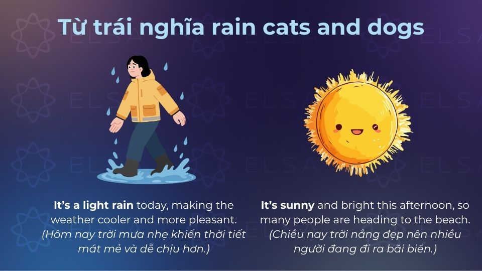 Từ trái nghĩa của rain cats and dogs không hề ít Từ trái nghĩa của rain cats and dogs không hề ít