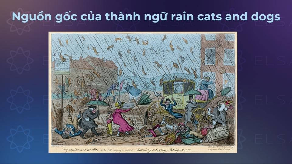 Nguồn gốc It’s raining cats and dogs idiom Nguồn gốc It’s raining cats and dogs idiom