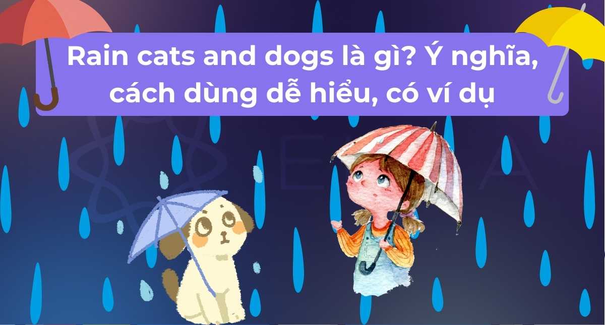 Rain cats and dogs là gì? Ý nghĩa, cách dùng dễ hiểu, có ví dụ