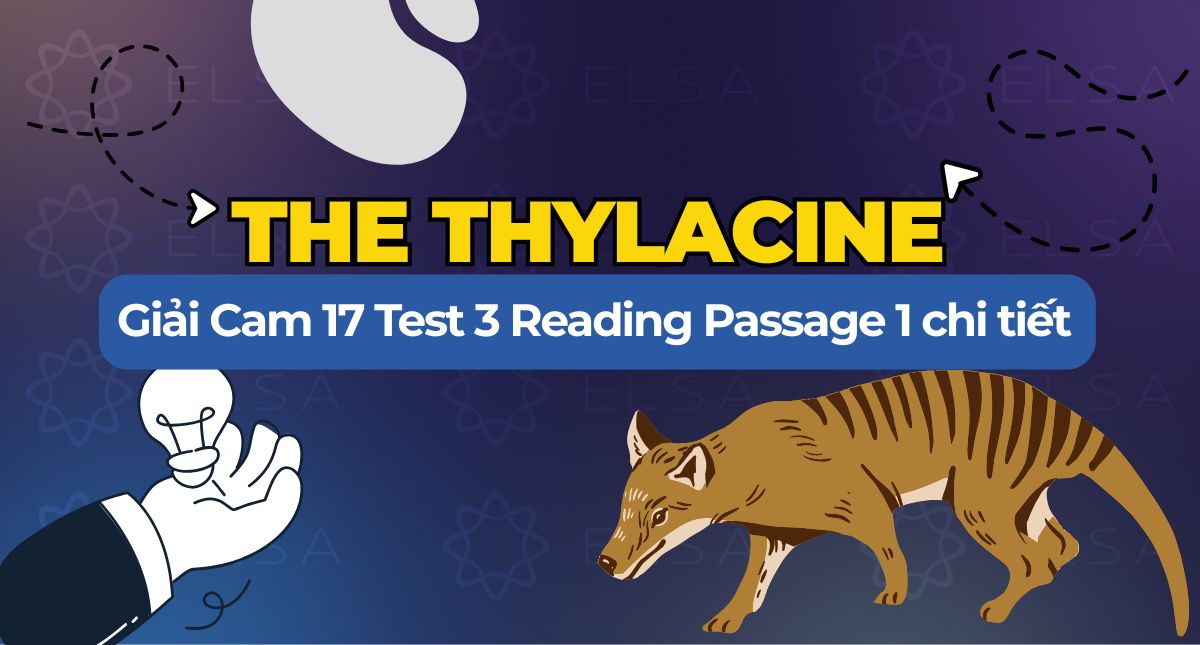 The Thylacine: Giải Cam 17 Test 3 Reading Passage 1 chi tiết