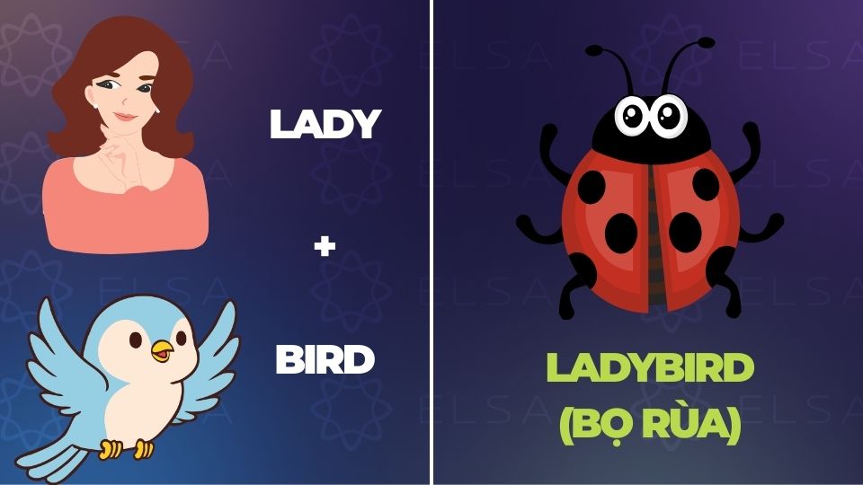 Câu đố đuổi hình bắt chữ tiếng Anh cho trẻ em - 10 Câu đố đuổi hình bắt chữ tiếng Anh cho trẻ em - 10