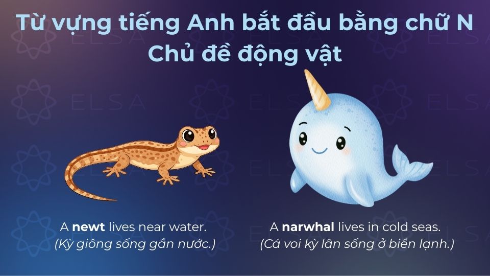 Từ vựng tiếng Anh bắt đầu bằng chữ N cũng mang ý nghĩa chủ đề động vật không hề ít