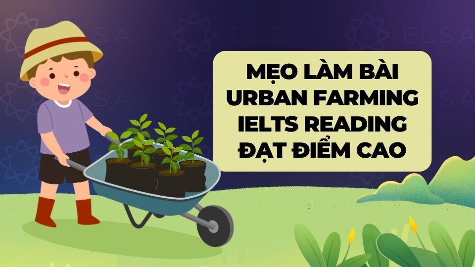 Mẹo làm bài Urban farming IELTS Reading đạt điểm cao Mẹo làm bài Urban farming IELTS Reading đạt điểm cao