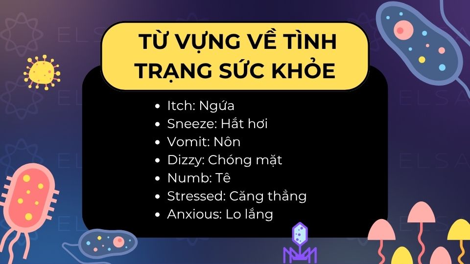 Bài luyện nói tiếng Anh chủ đề cuối tuần lý tưởng