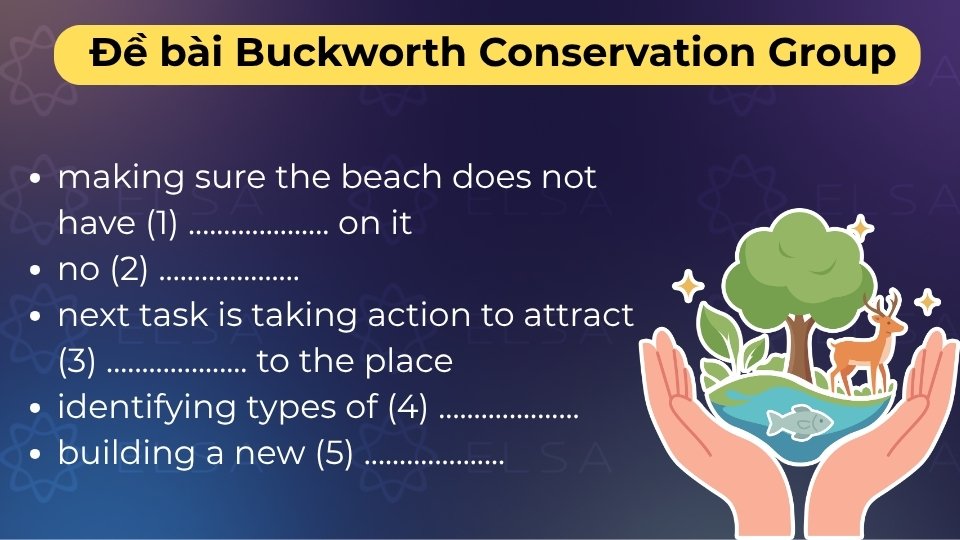 Đề bài Buckworth Conservation Group Cambridge 17 Test 1