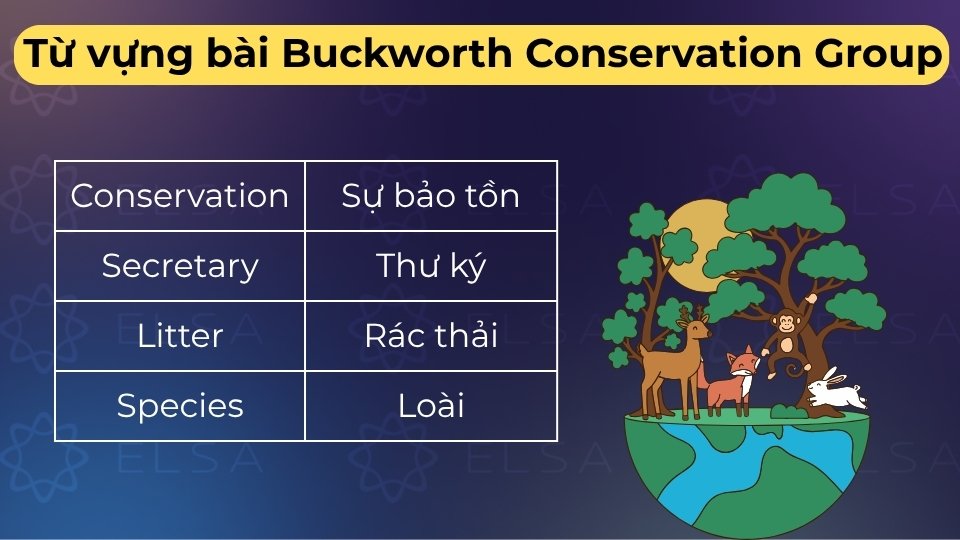 Tổng hợp từ vựng chuyên ngành về môi trường và bảo tồn giúp bạn bứt phá điểm số Listening