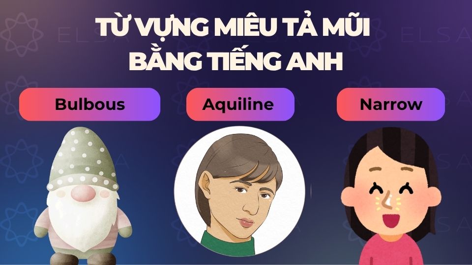 Một số từ vựng miêu tả mũi bằng tiếng Anh