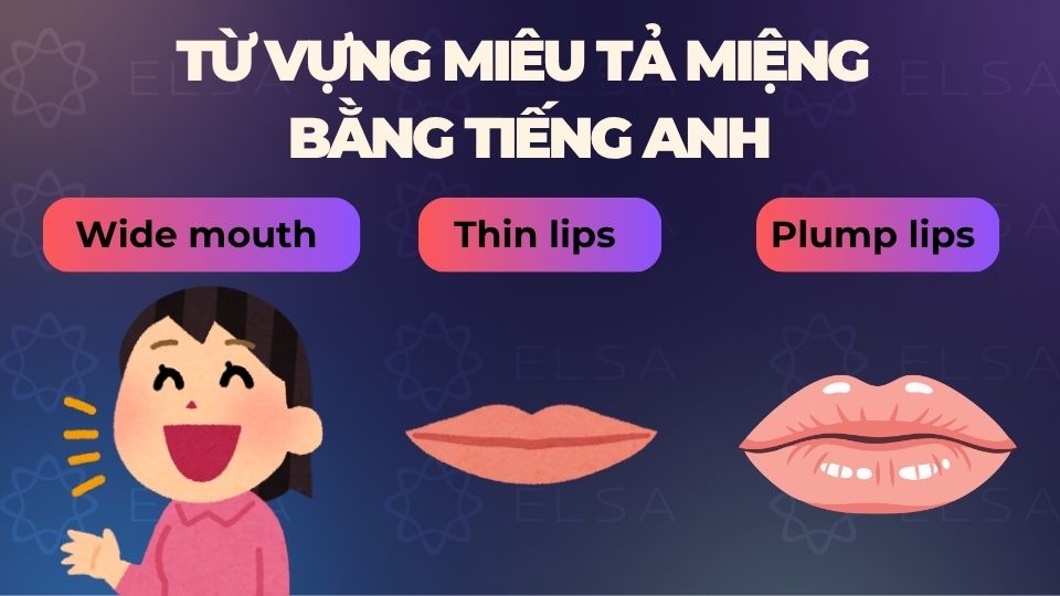 Một số từ vựng miêu tả miệng bằng tiếng Anh