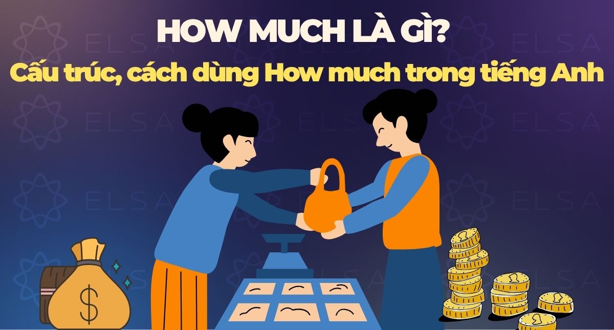 How much là gì? Cấu trúc, cách dùng How much trong tiếng Anh