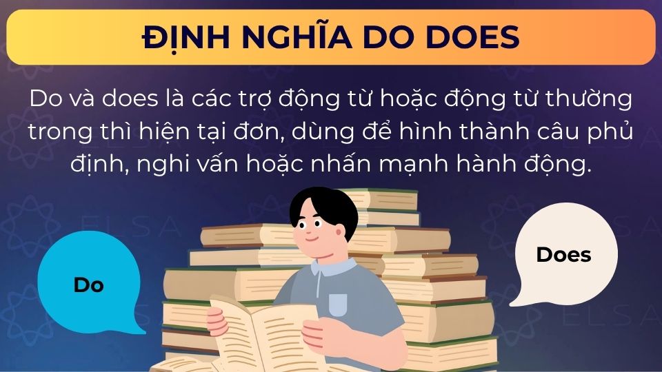 Do does vừa là trợ động từ, vừa là động từ thường