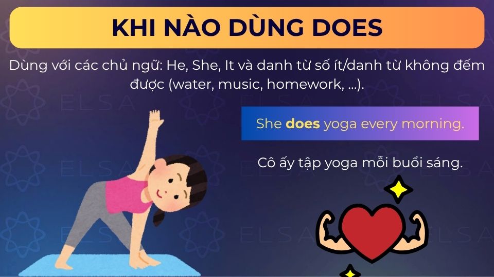 Câu ví dụ dùng does
