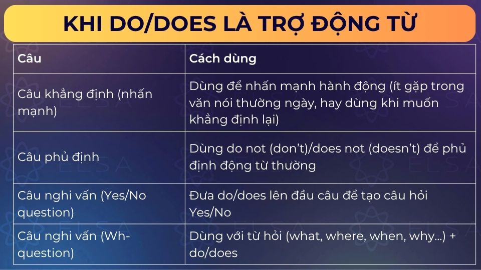 Bảng thể hiện khi do/does là trợ động từ